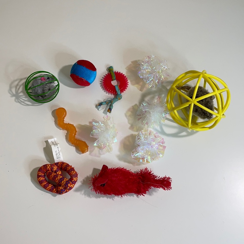 Cat toy bundle